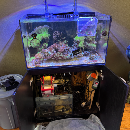 Tank Move: San Diego California Only